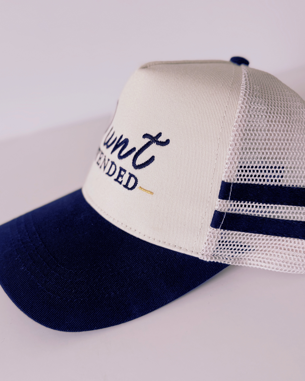 Punt Intended Embroidered Baseball Hat, Black and Beige